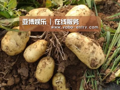 种植基地六
