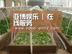 环境展示五