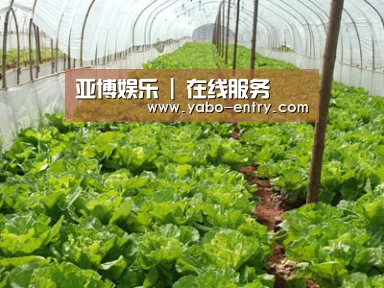种植基地五