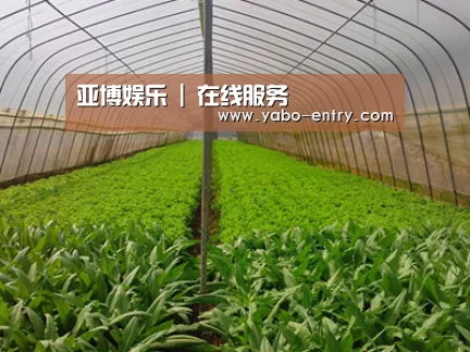 种植基地四