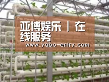 环境展示六