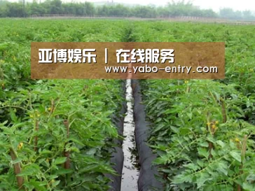 种植基地三