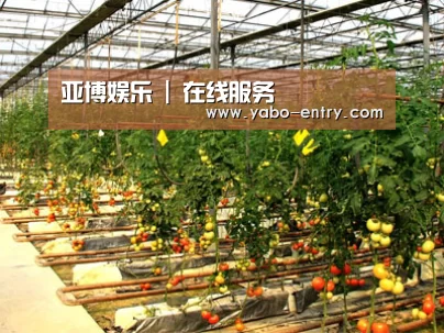 种植基地二(图1)