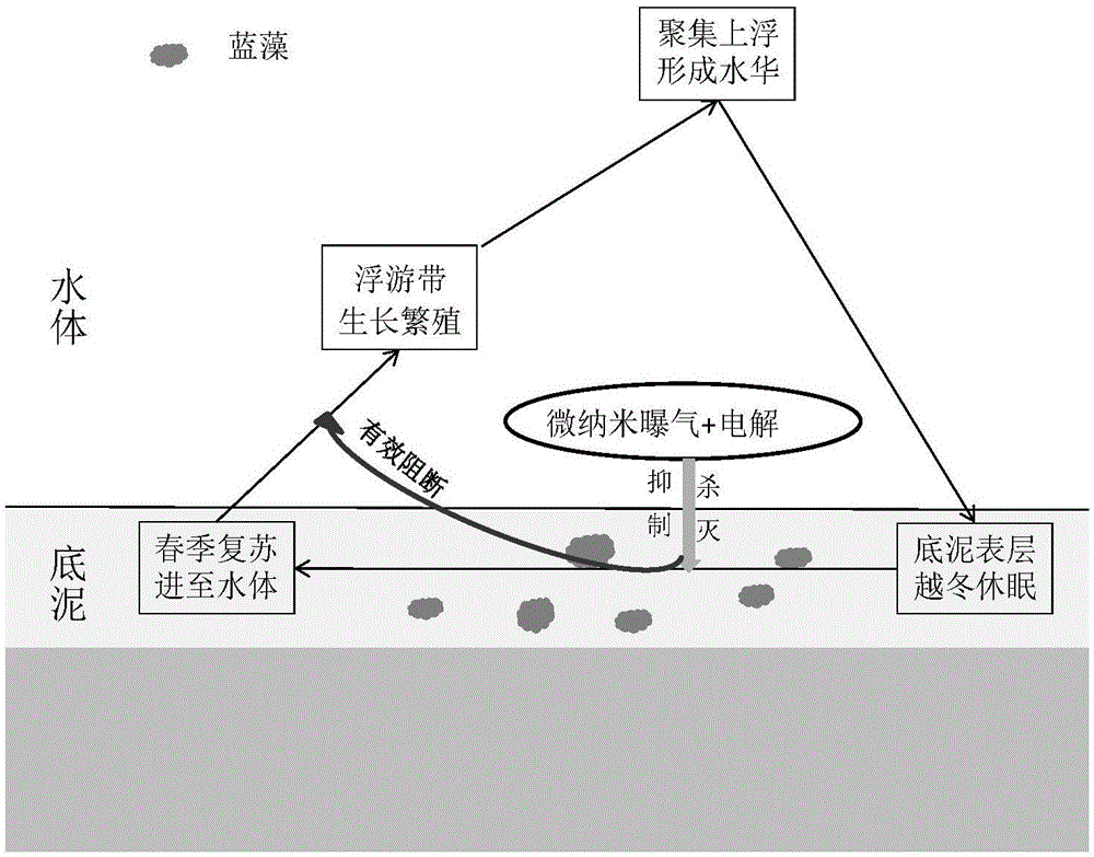 亚博体育