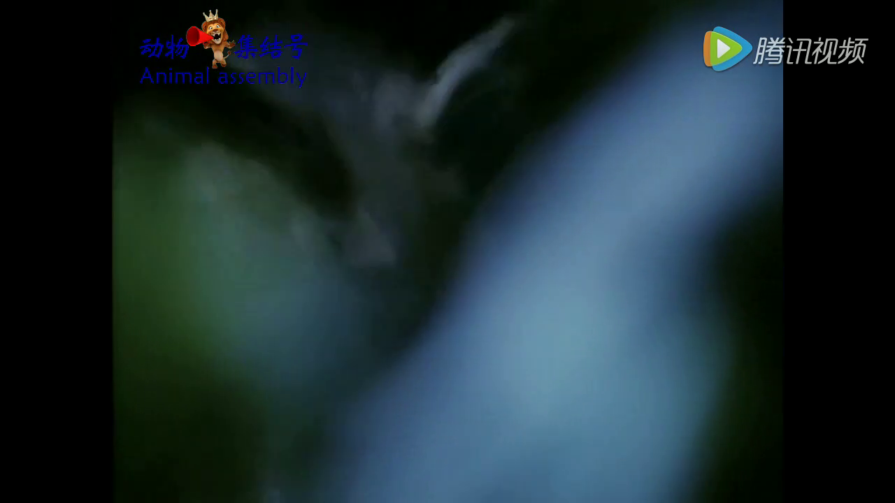 林加德服装品牌半年亏损20万!曼联名宿:不务正业“亚博体育”(图1) 亚博体育