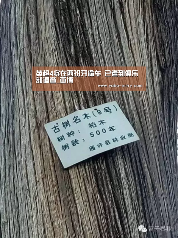 亚博娱乐