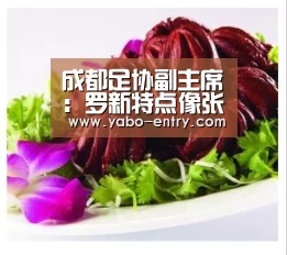成都足协副主席:罗新特点像张修维,牟壹铭很自律“亚博体育”(图3) 亚博