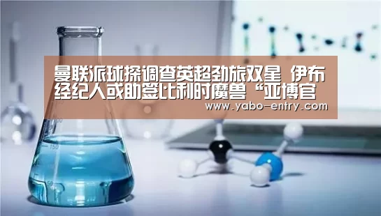 曼联派球探调查英超劲旅双星 伊布经纪人或助签比利时魔兽“亚博官网”(图1) 亚博官网