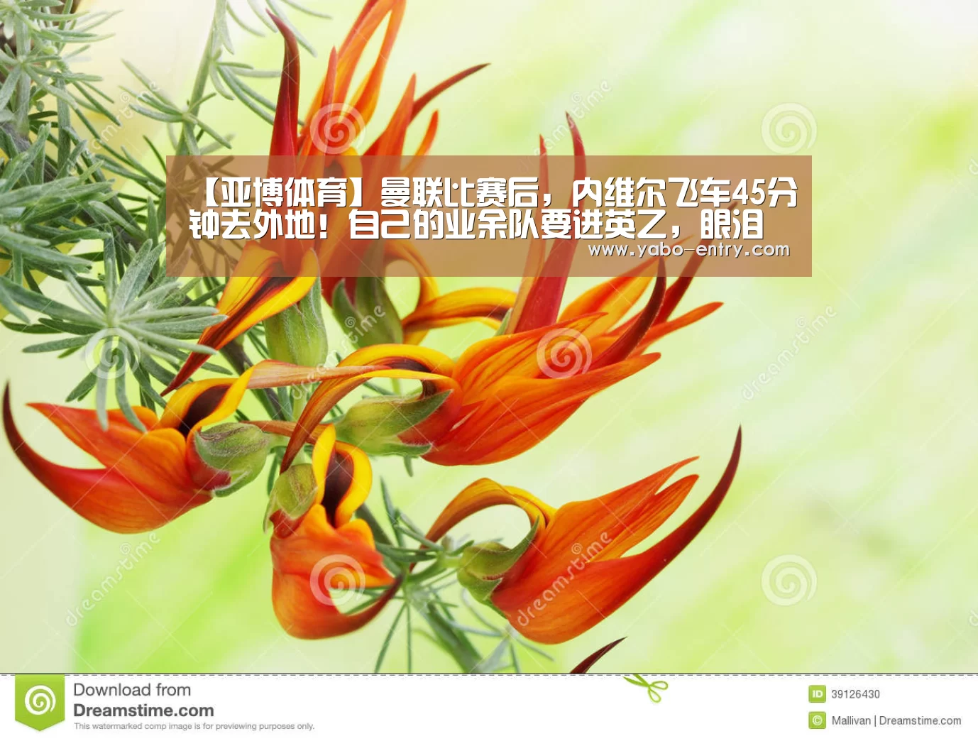 【亚博体育】曼联比赛后,内维尔飞车45分钟去外地!自己的业余队要进英乙,眼泪止不住了(图2) 亚博官网
