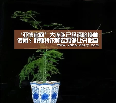 ‘亚博官网’大连队已经深陷换帅传闻?舒斯特尔帅位难保让分迷直言不公平(图2) 亚博
